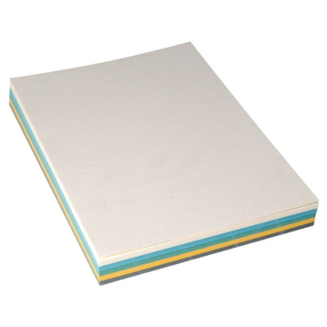 Paquet de 100 couvertures grain cuir, format 21x29,7 cm  assortis. (Vert clair - Gris foncé - Jaune - Bleu clair - Ivoire)