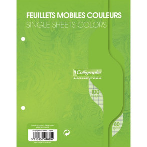 Sachet de 50 feuillets mobiles (100 pages) format 17x22 cm séyès 80g coloris vert