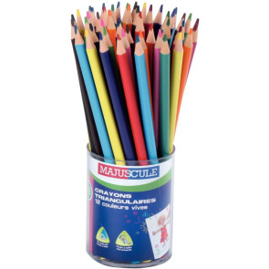 Pot de 48 crayons de couleur triangulaires pointe moyenne assortis