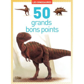 Boite de 50 grandes images Les dinosaures